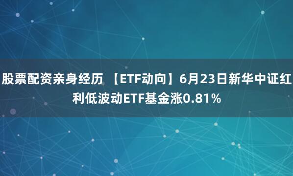 股票配资亲身经历 【ETF动向】6月23日新华中证红利低波动ETF基金涨0.81%