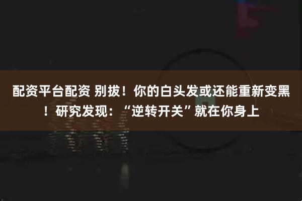 配资平台配资 别拔！你的白头发或还能重新变黑！研究发现：“逆转开关”就在你身上